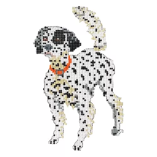 "Beau" English Setter